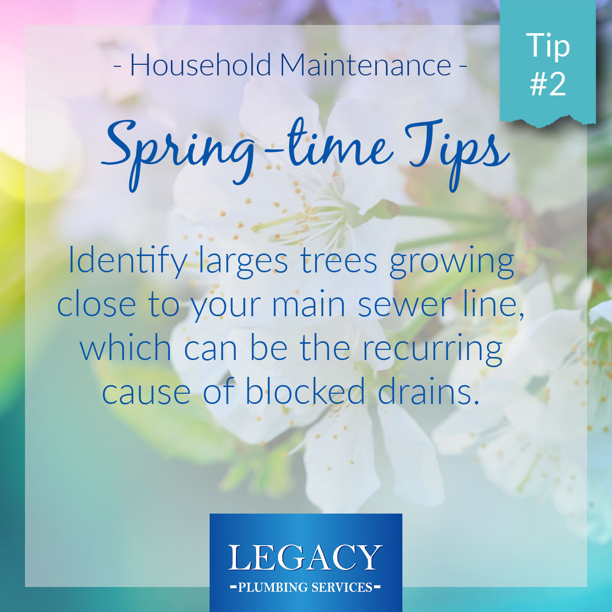 Legacy Plumbing Services - Tree roots are a leading cause of damage to ...