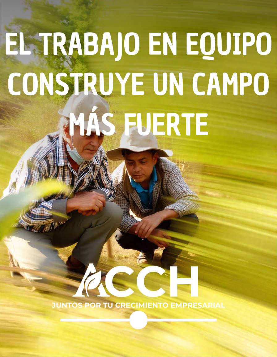 ACCH