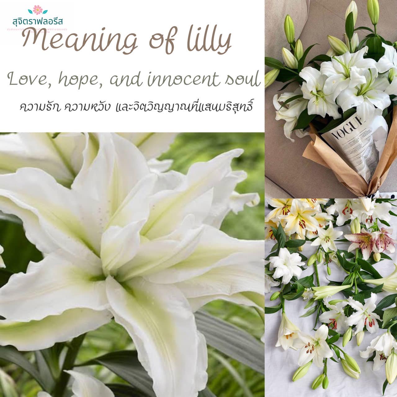 Meaning..🍃 Love, hope,... - ร้านดอกไม้สุจิตราฟลอรีส กันตัง