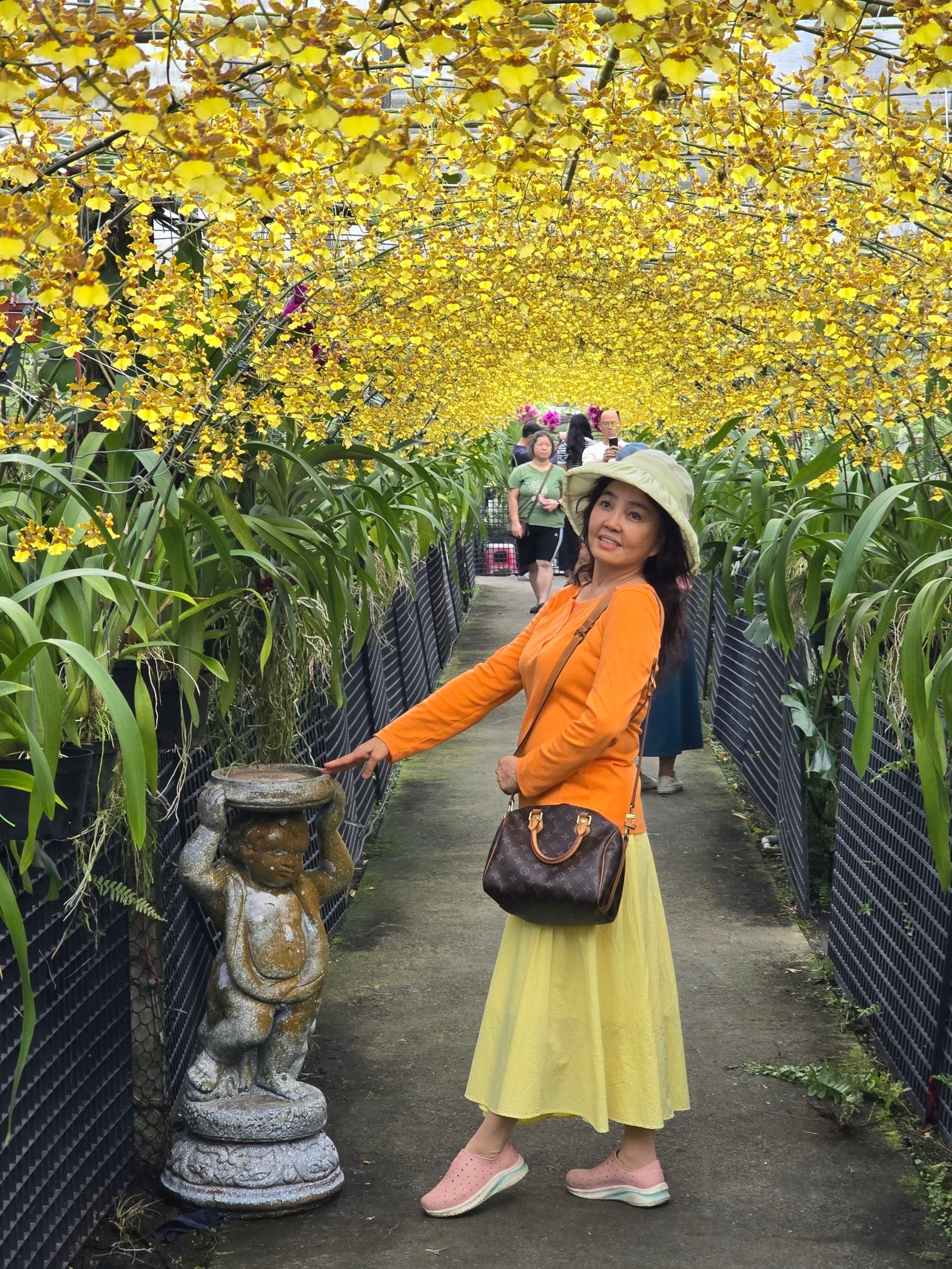 雙花卉圖 文心蘭黃金隧道美拍~