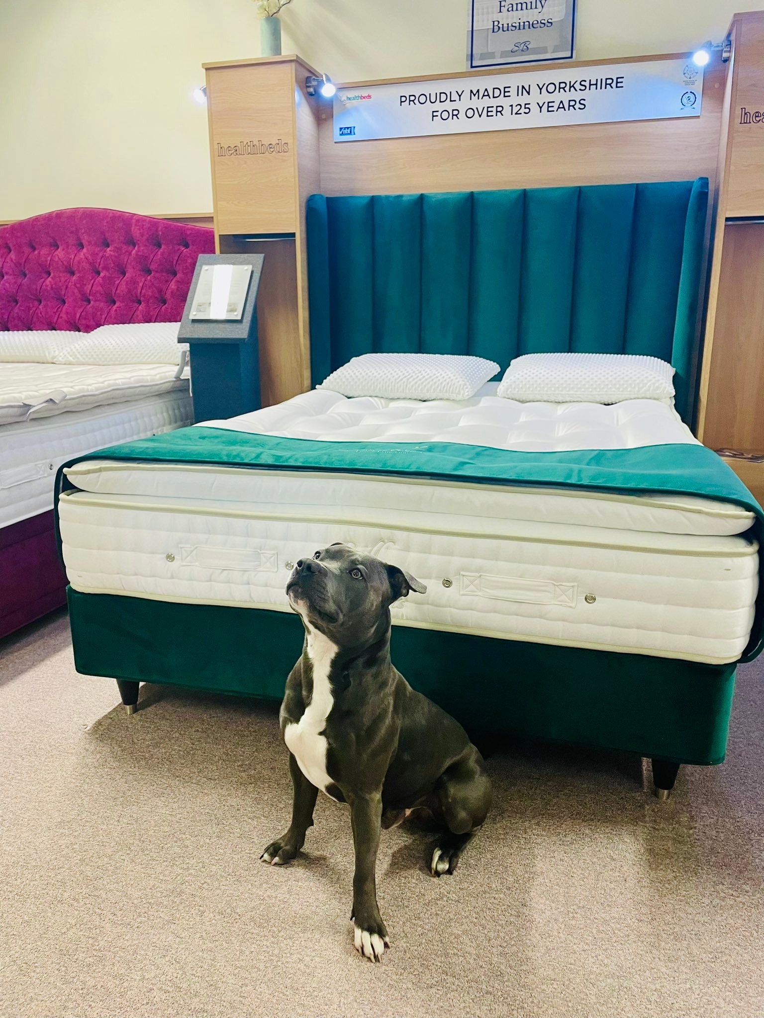 Bedtime Bed Centre | King's Lynn