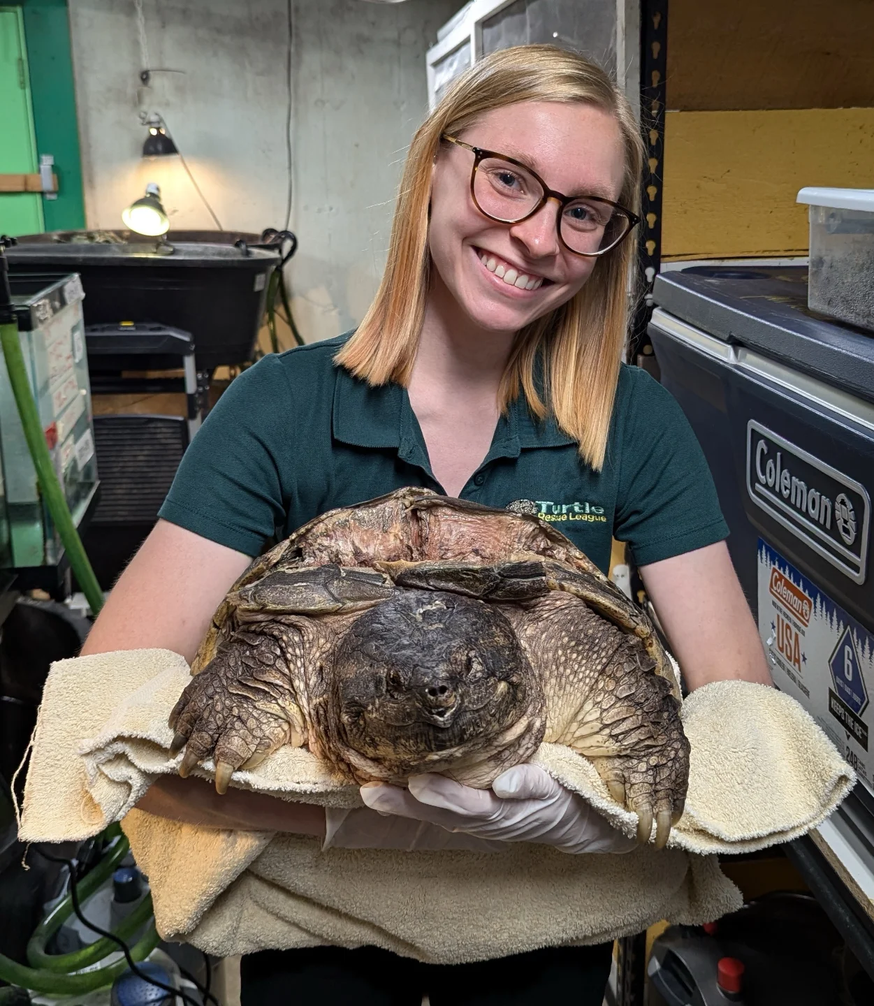 Final Cedar Update:⁣ ⁣⁣ Many of you... - Turtle Rescue League | Facebook