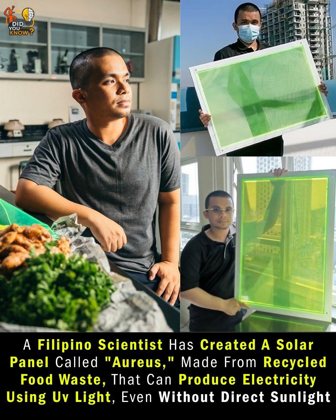 Did - ☀️🍃 Solar Windows Made from Rotten Fruits! A young inventor ...