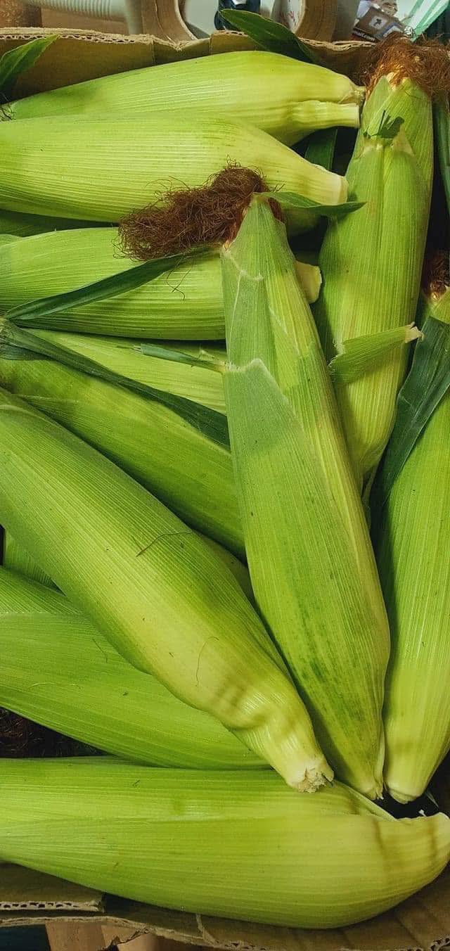 Mwanaka - 🌽 Fresh Maize Has Arrived! 🌽 We’re excited to let you know ...