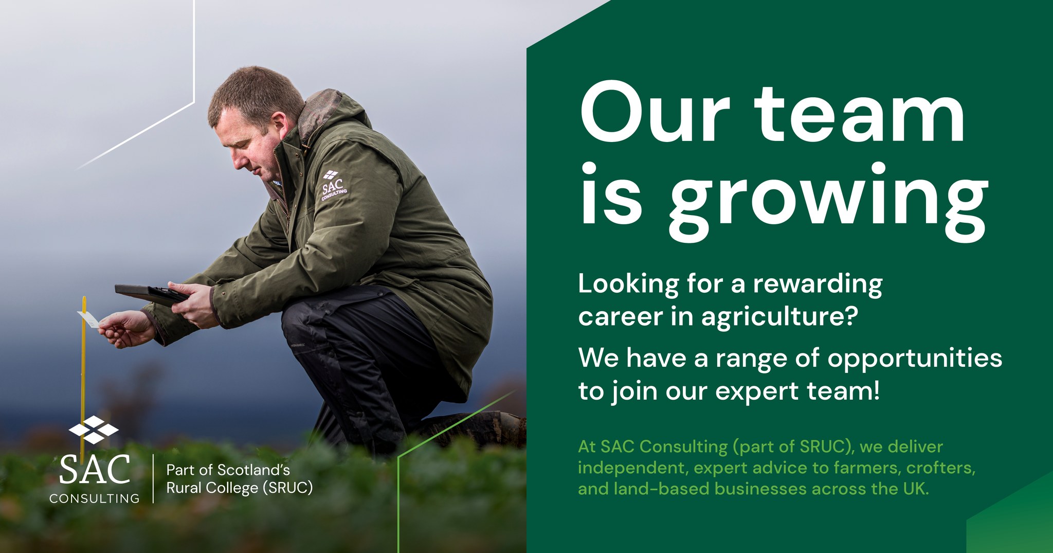 SAC Consulting - We're hiring! Join our team and make a... | Facebook