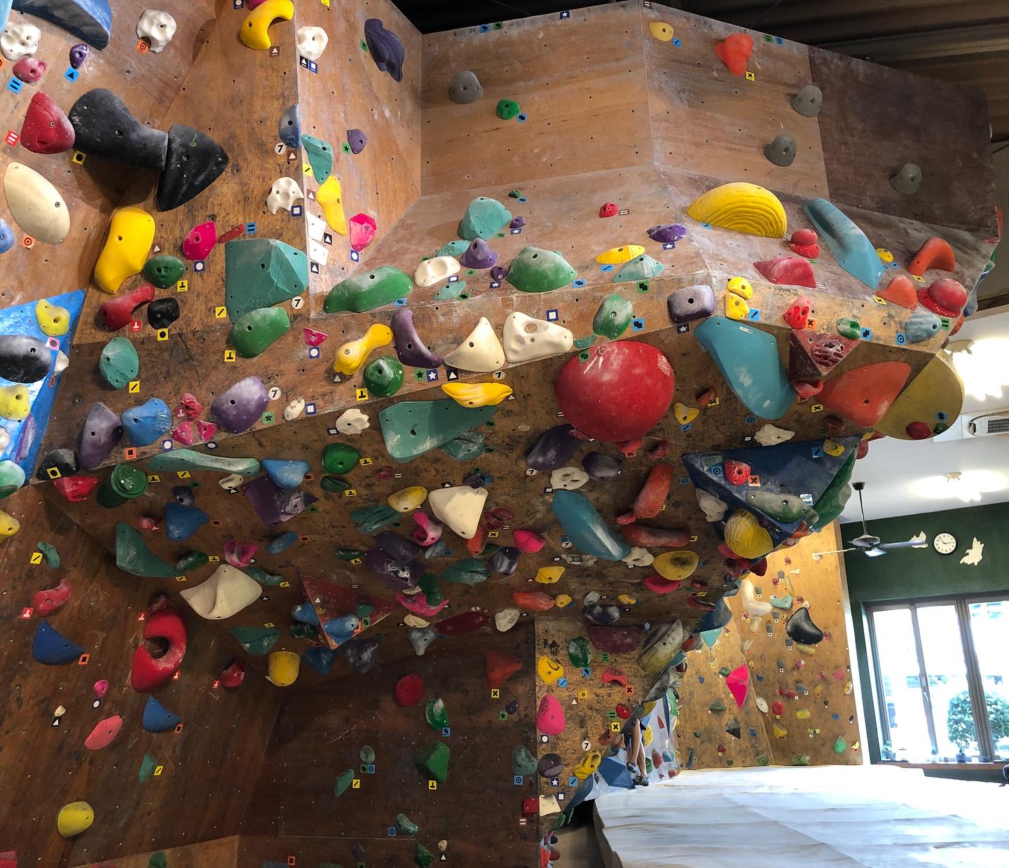 DOG WOOD Climbing Gym - . 【ルーフのホールド替え】 ルーフ壁の 