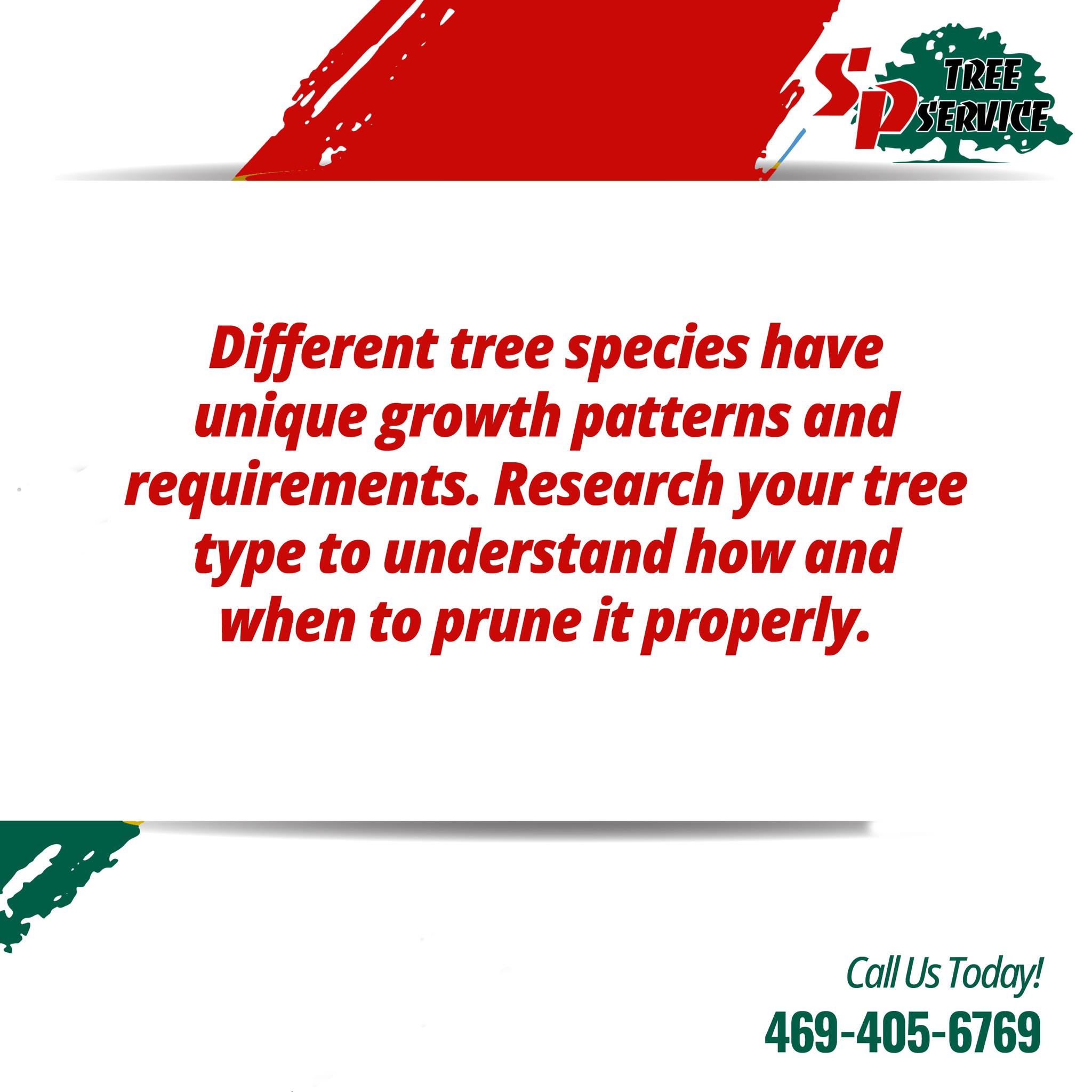 SP - Every tree is different and has different needs! Get to know your ...