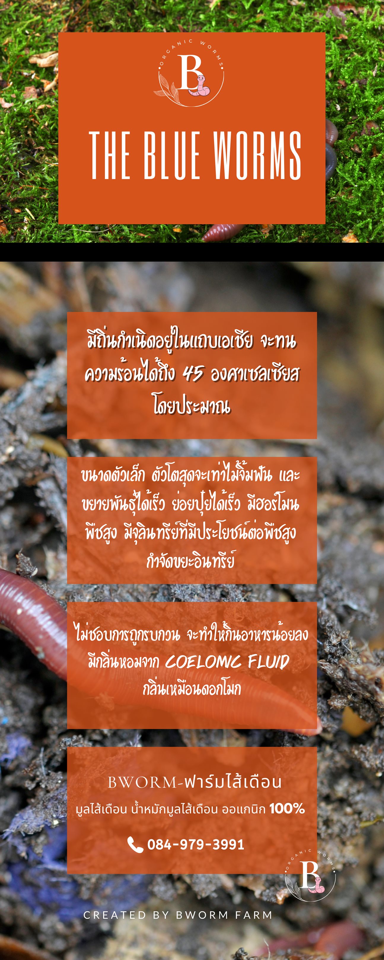 BWorm-ฟาร์มไส้เดือน