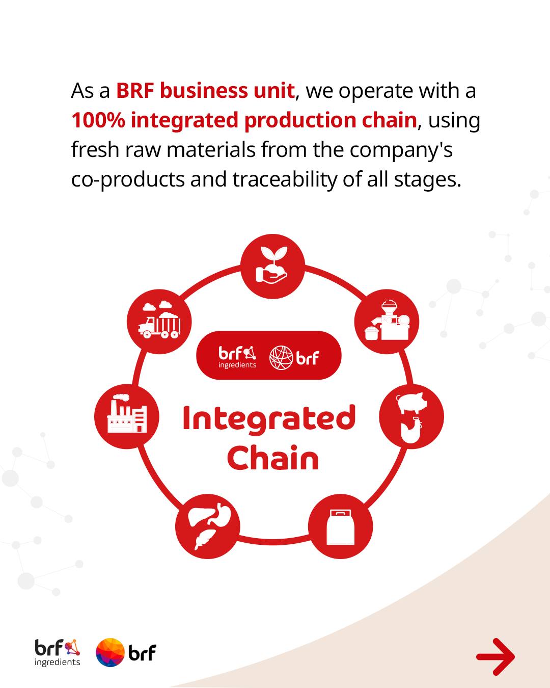 BRF Ingredients