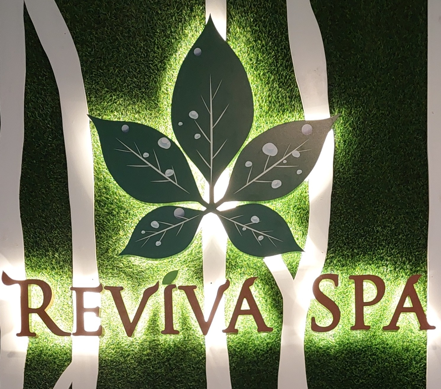 REVIVA