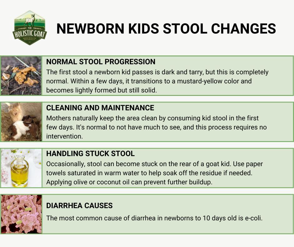 Little - The first stool a newborn kid passes will likely be a tarry ...