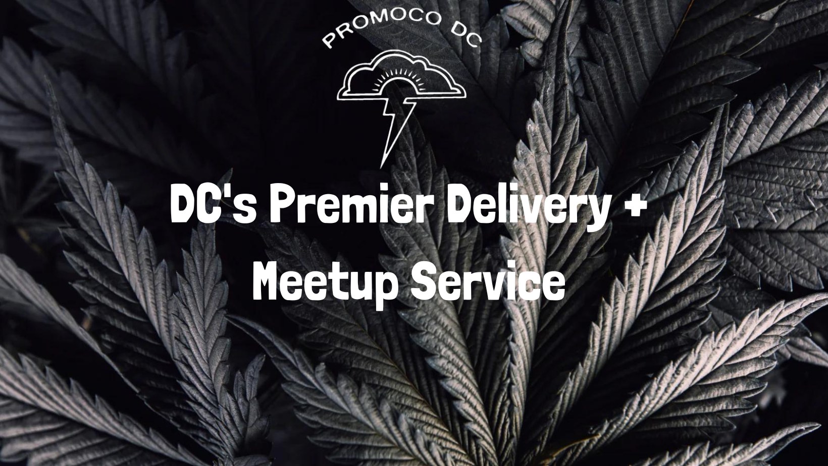 Promoco DC | Washington D.C. DC