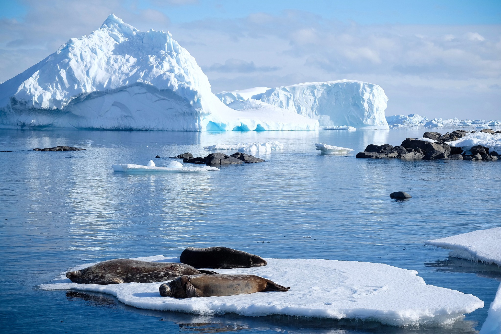British Antarctic Survey - First evidence of a direct link between the ...