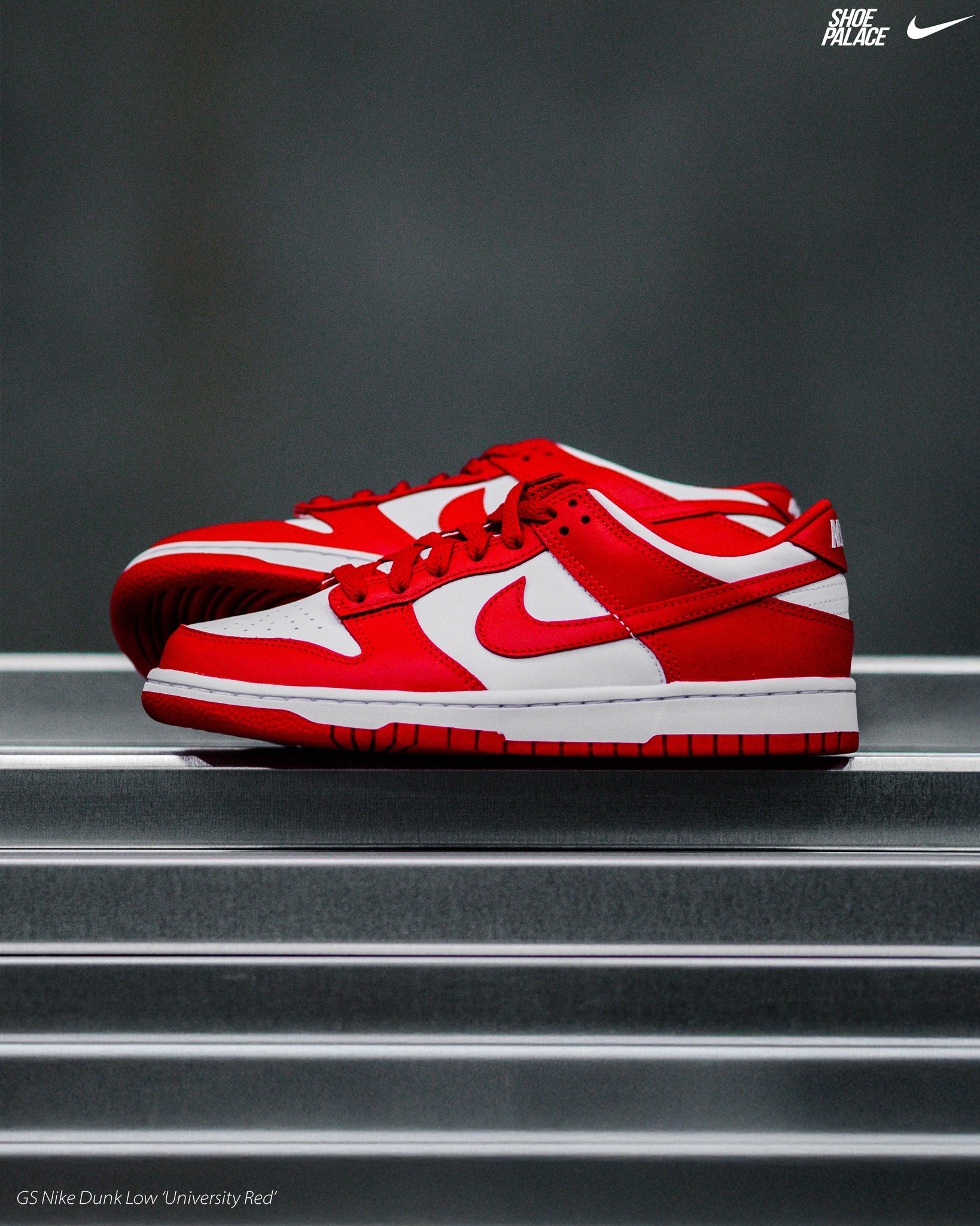 Dunk Low Retro https://www.shoepalace.com/products/nike-hf5441-104 