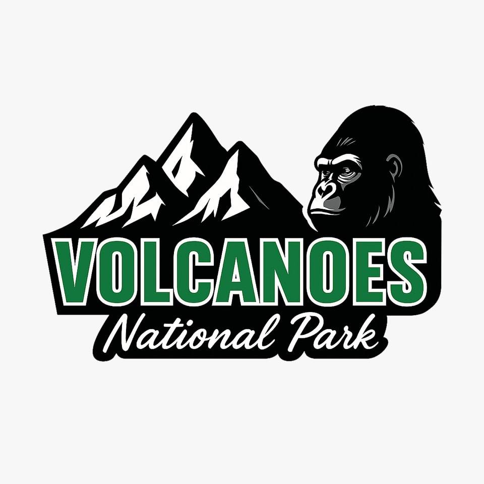 Where is the best place to go gorilla trekking in Africa | Volcanoes ...