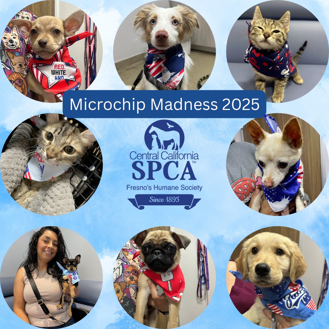 Central California SPCA | Fresno CA