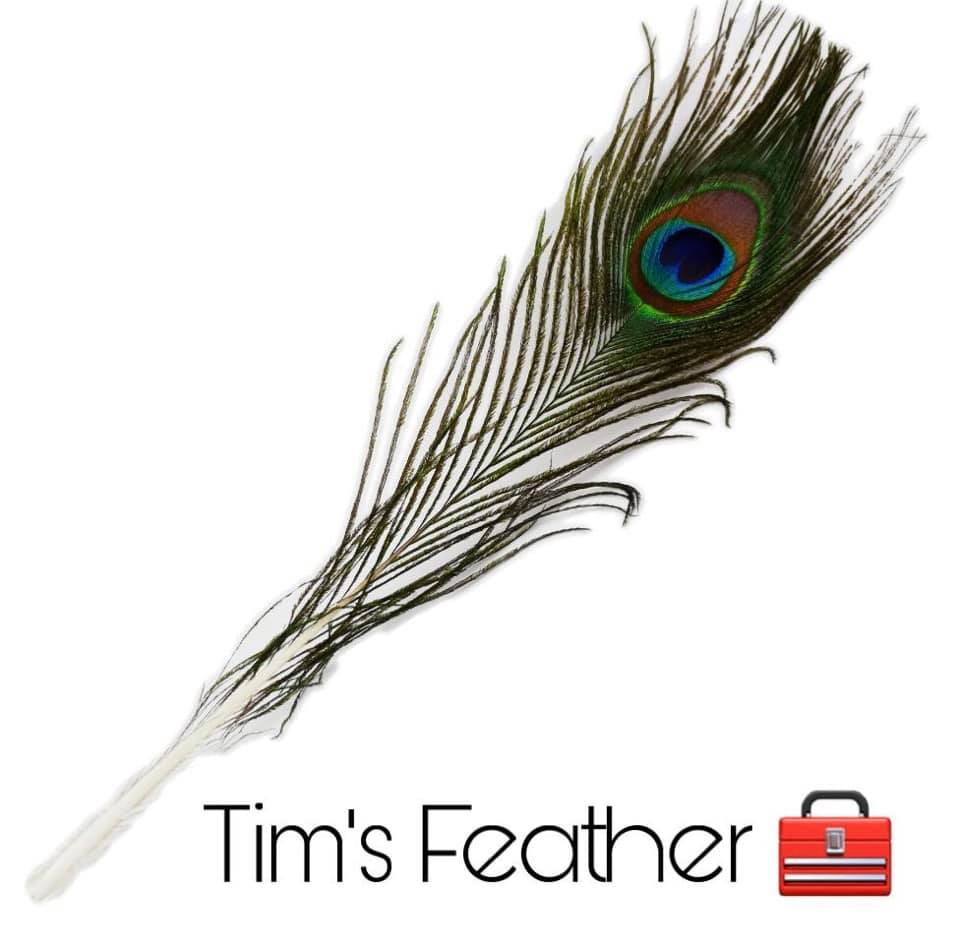 Tim’s feather