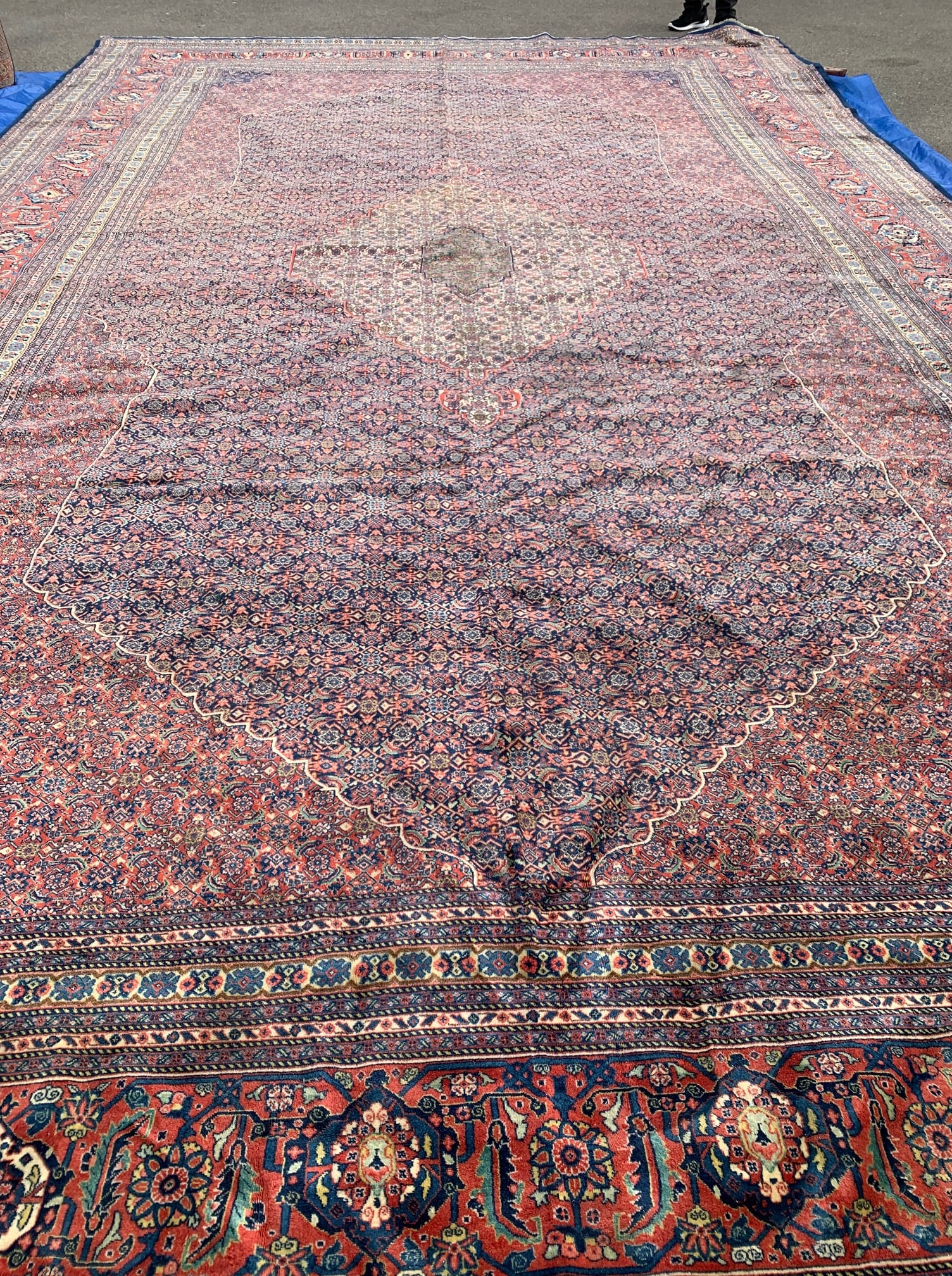 Persian Rugs Toronto