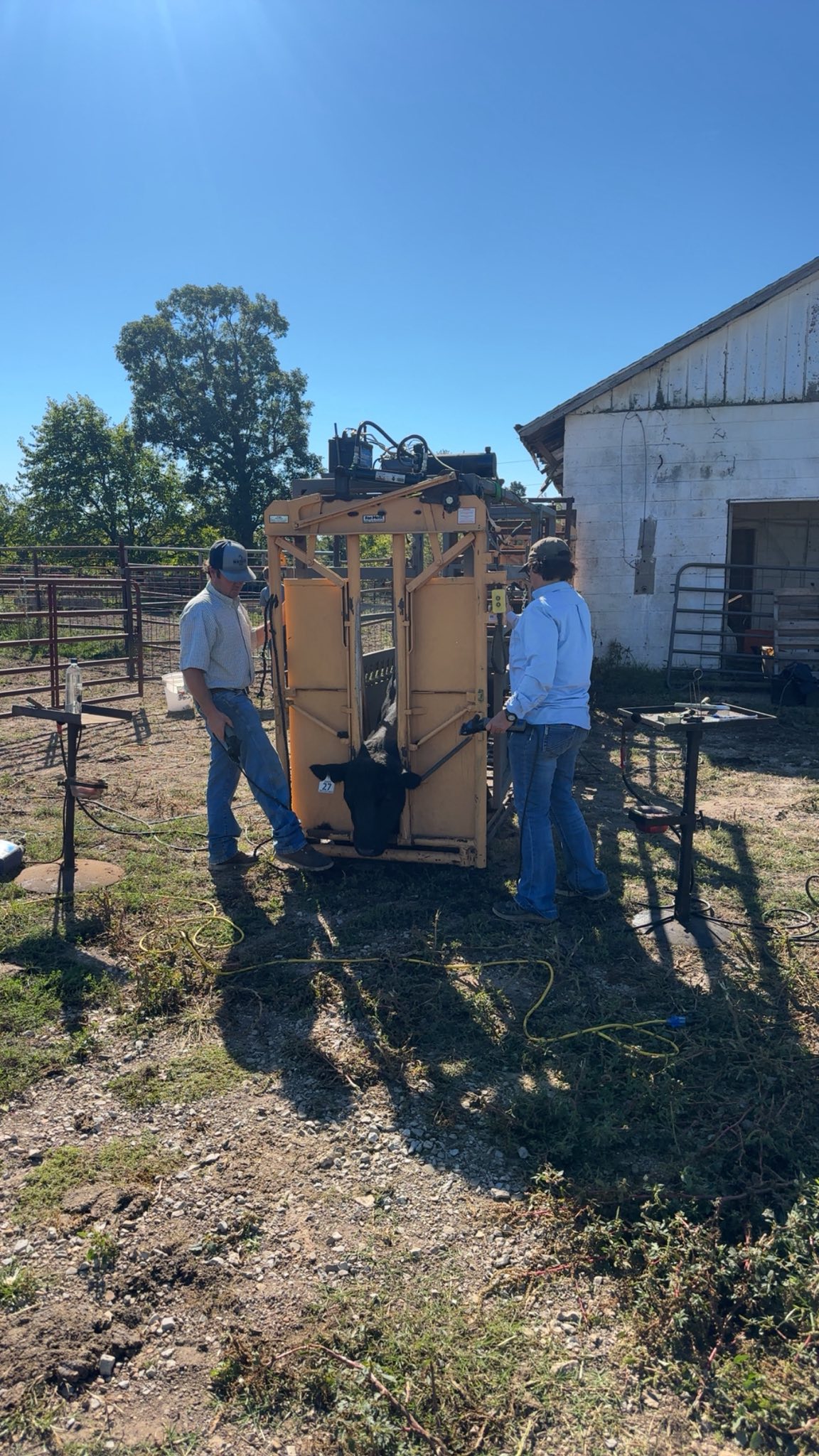 Smith Registered Angus Ranch, LLC