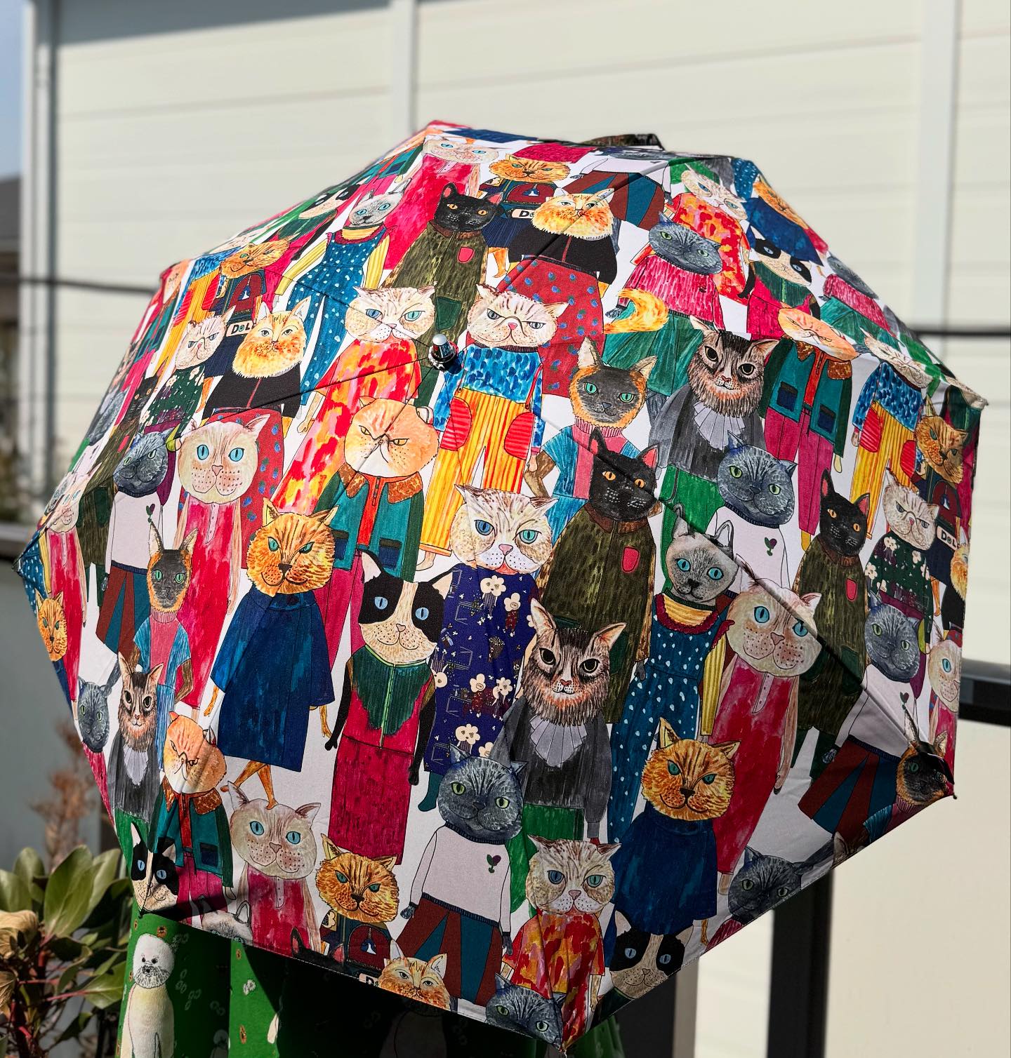 mannine (マンナイン）　　晴雨兼用パラソル ☂️new All weather umbrella ☀️☔️ • 新柄の晴雨兼用は3/26(水