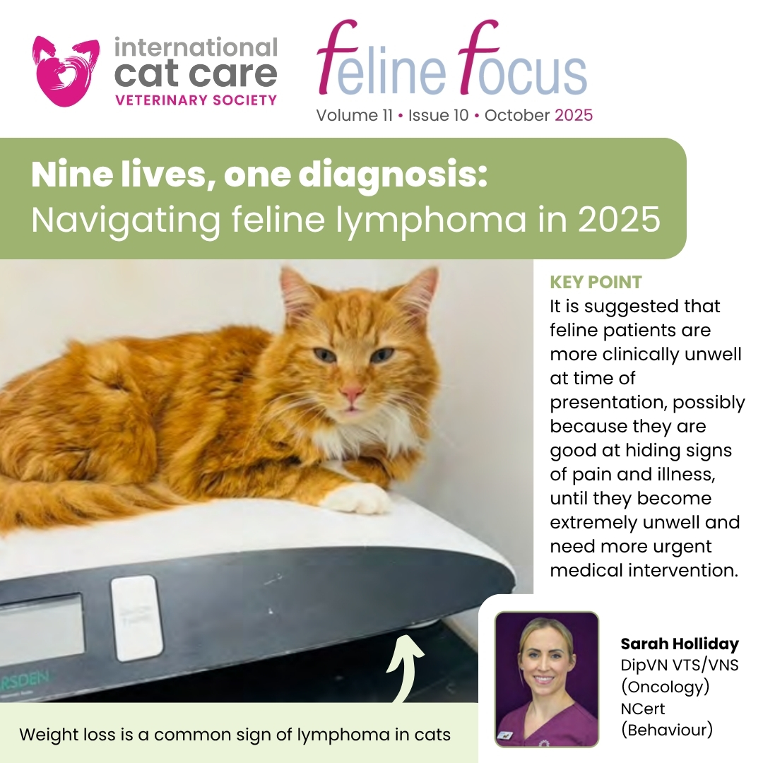 Curated visual reference: Fresh Look at Nine Lives International Cat Care Veterinary Society