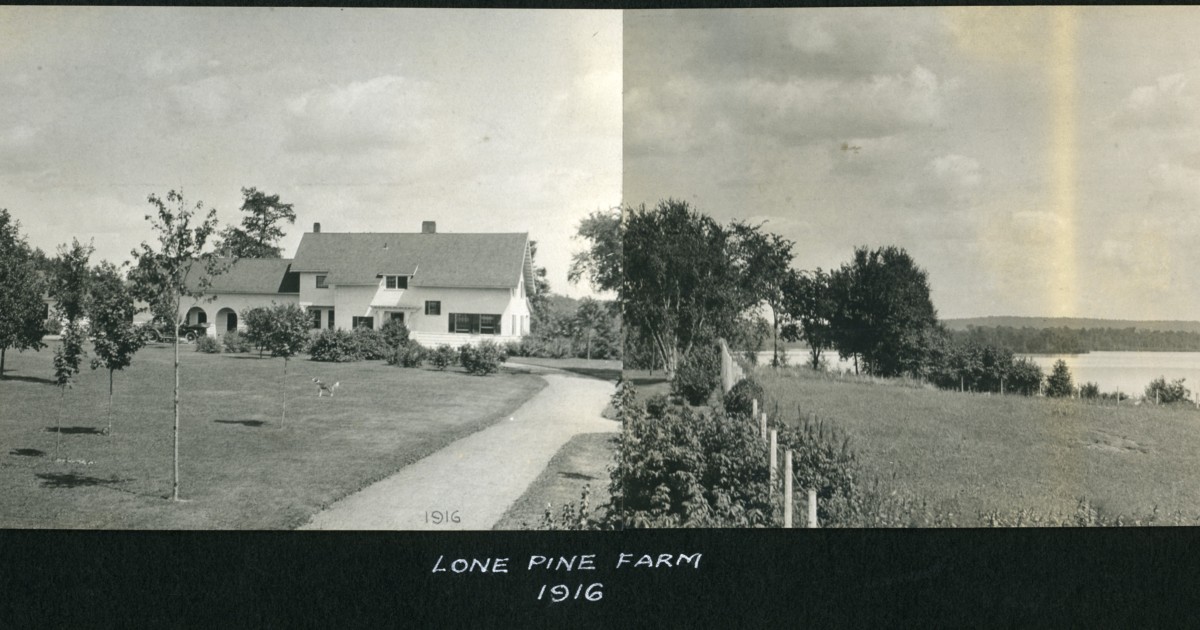 Stout's - Lone Pine Farm was one of several properties Mr. Stout owned ...