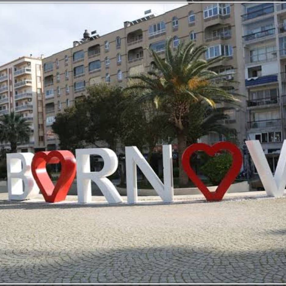 ev arkadasi oda arkadasi bornova izmir home facebook