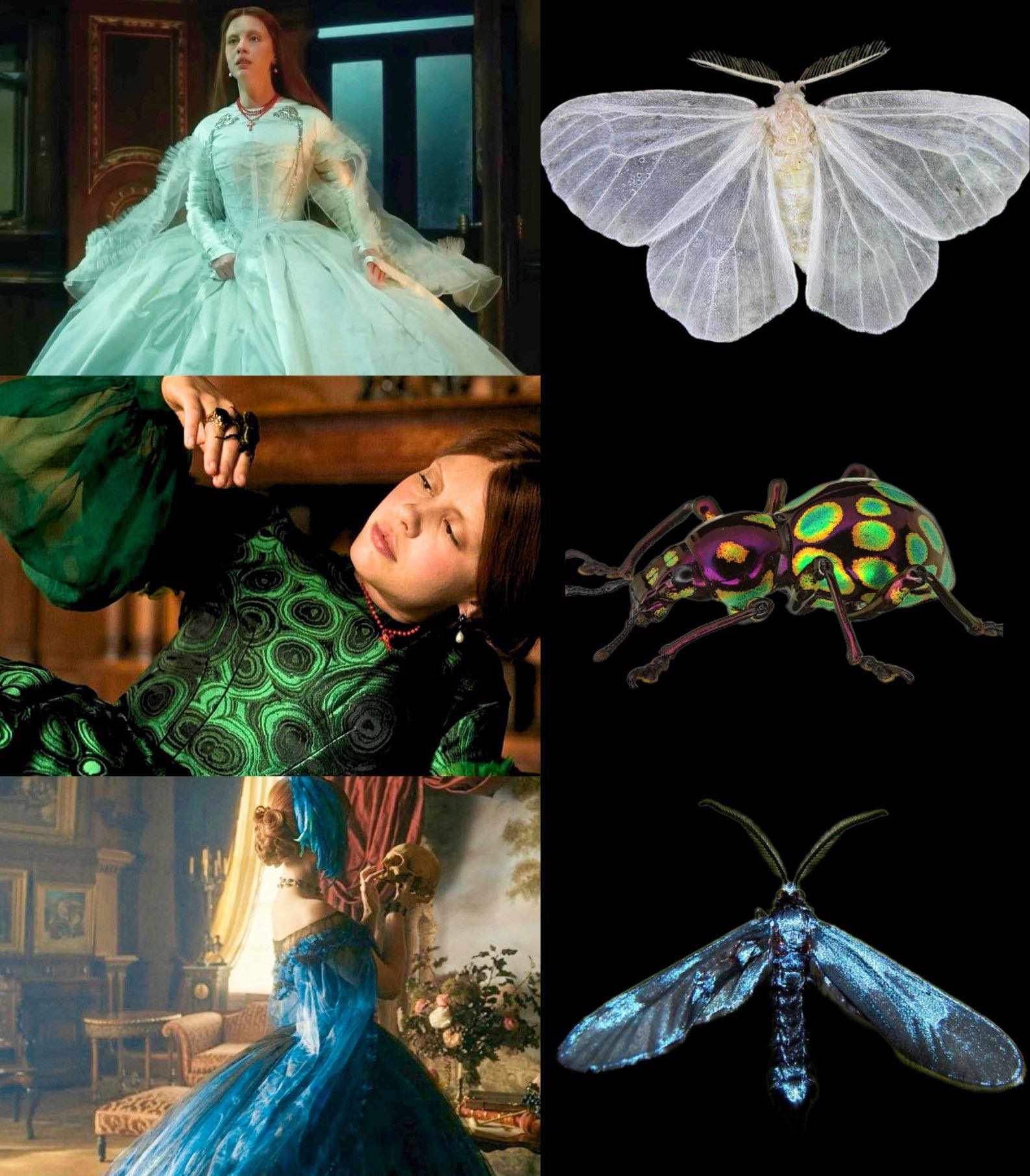 frankenstein elizabeth green dress Elizabeth's dresses being inspired by flying insects in (2025) Designer tweed dress for cocktail parties