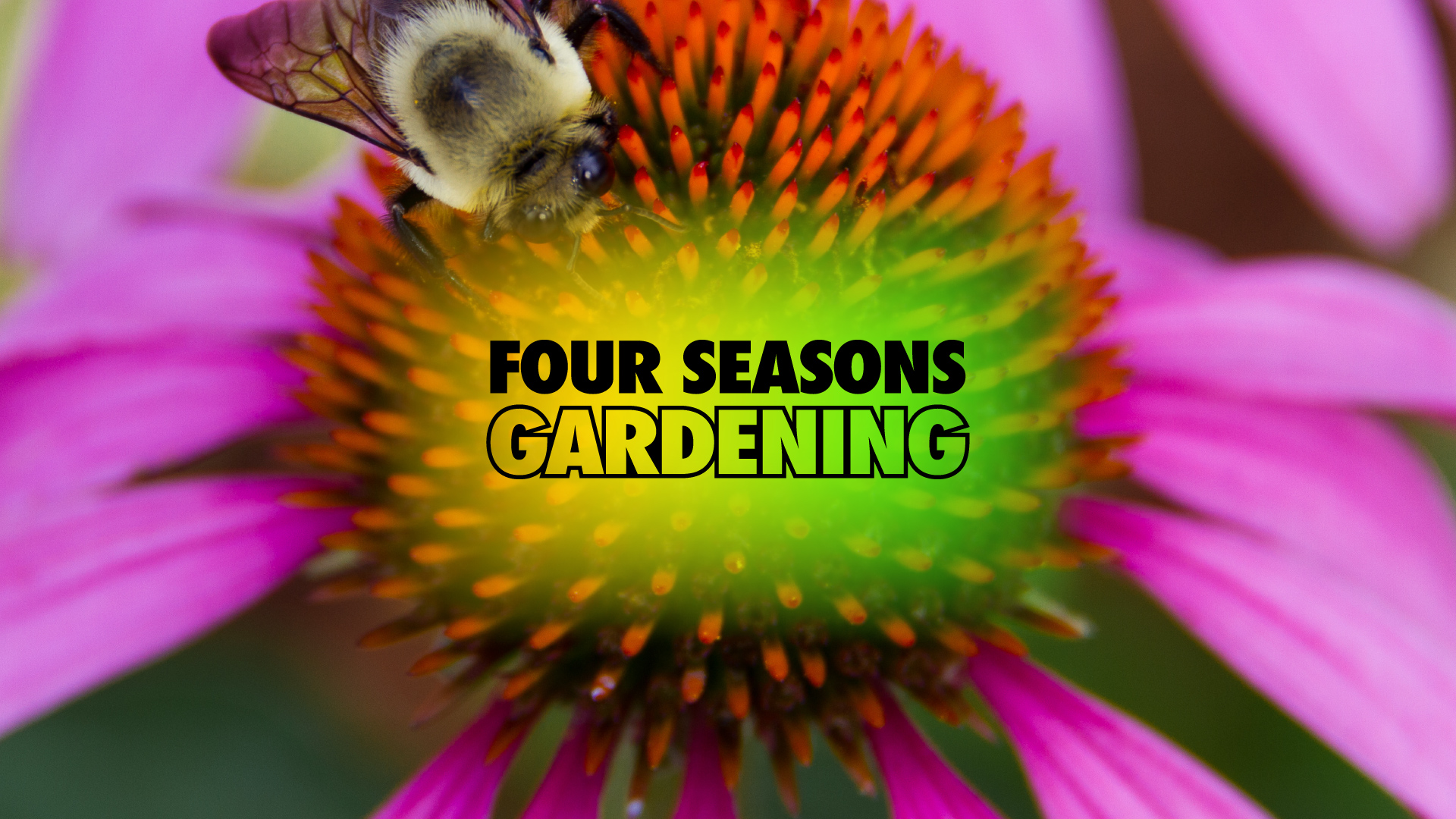 Harford County Master Gardeners - University of Maryland Extension ...