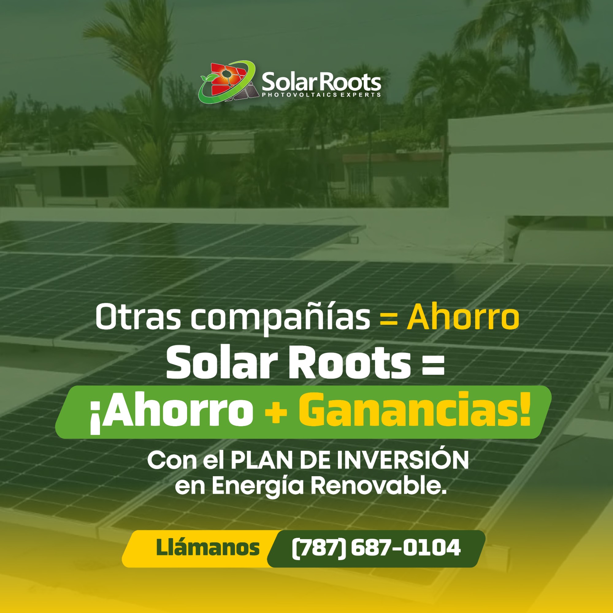 Muchos te hablan de “ahorro en luz”…... - Solar Roots, LLC | Facebook