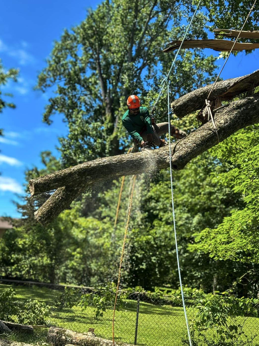 Big pile of junk? Trees... - Boise River junk & tree services | Facebook
