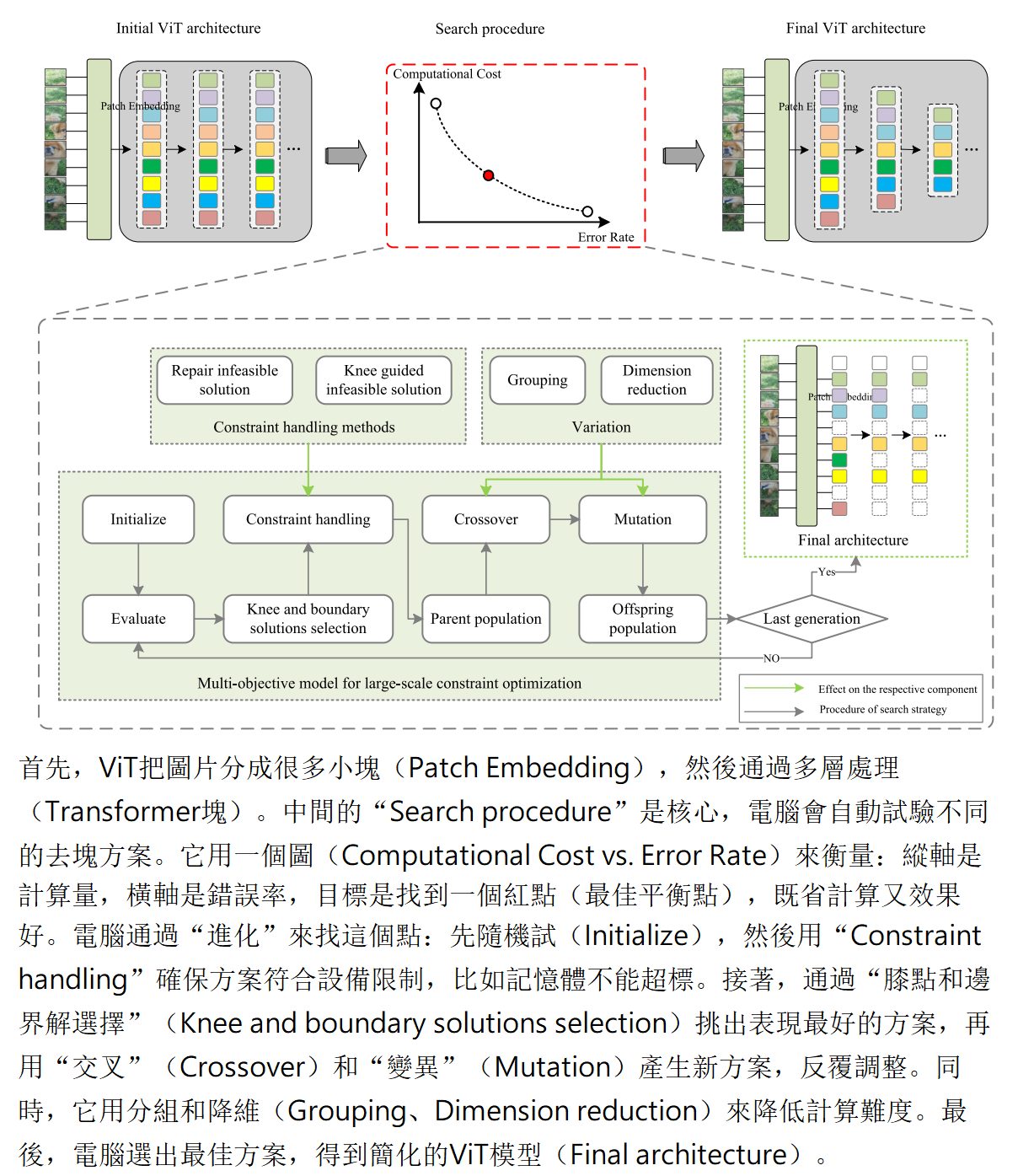 神經妙算 - 自我進化的Transformer架構... | Facebook