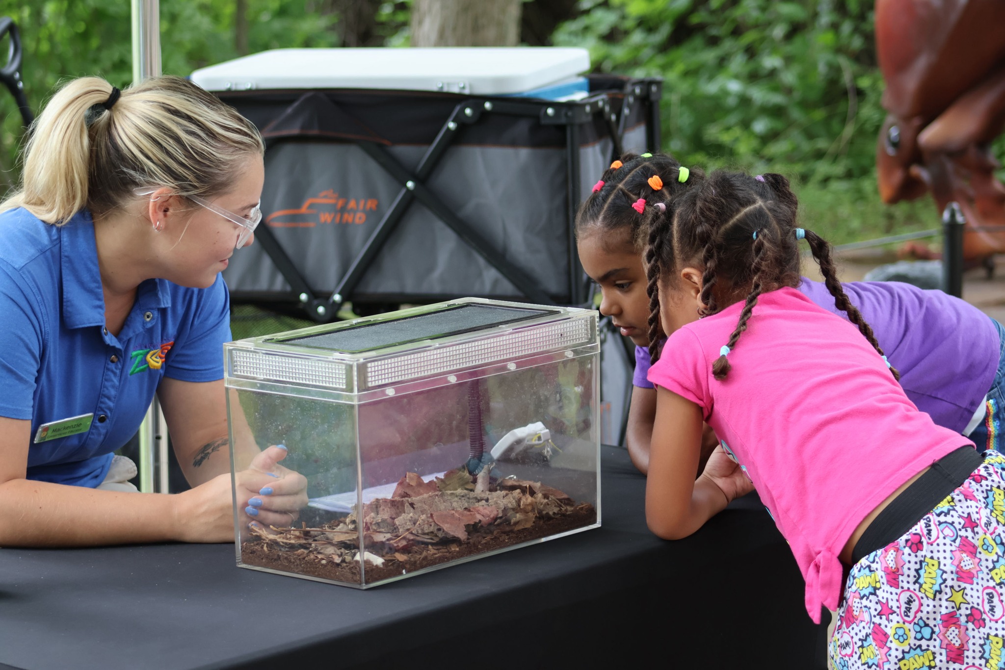 21Alive - Giant bugs have taken over Fort Wayne! DETAILS: https://www ...