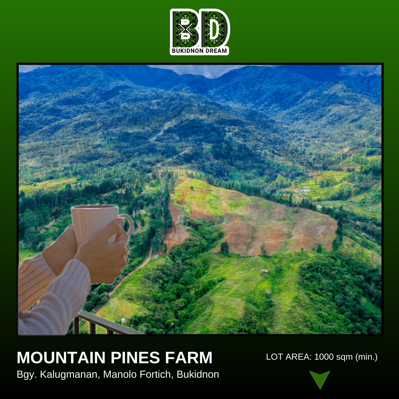Bukidnon Dream | Manolo Fortich