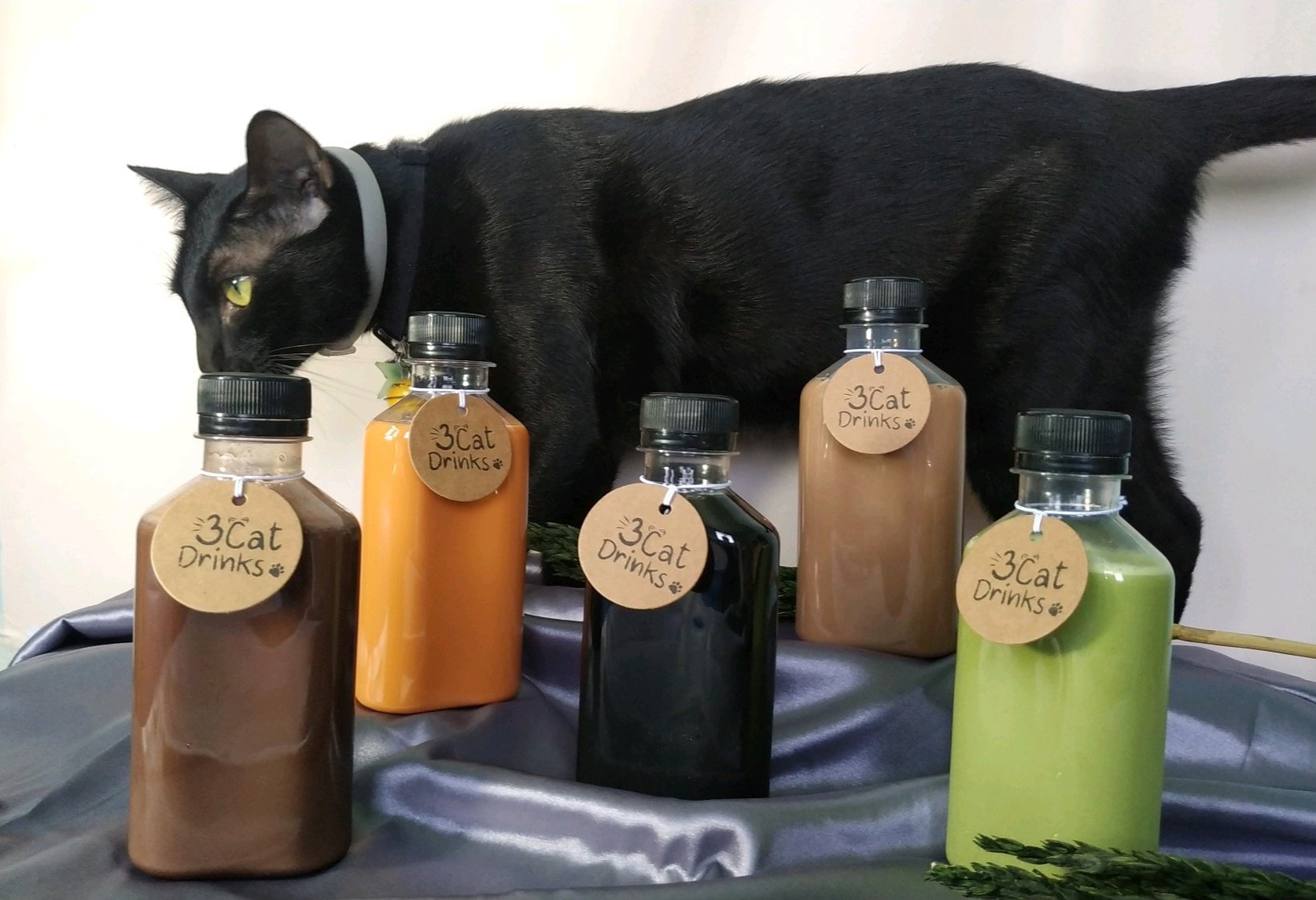 3Cat Drinks - เจ้านายว่างมาตรวจร้านแค่คนเดียว...