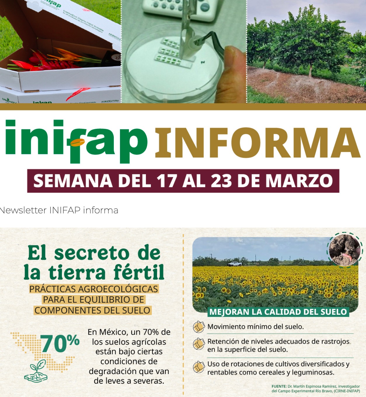 INIFAP - En esta edición, descubre el secreto de una tierra fértil con ...