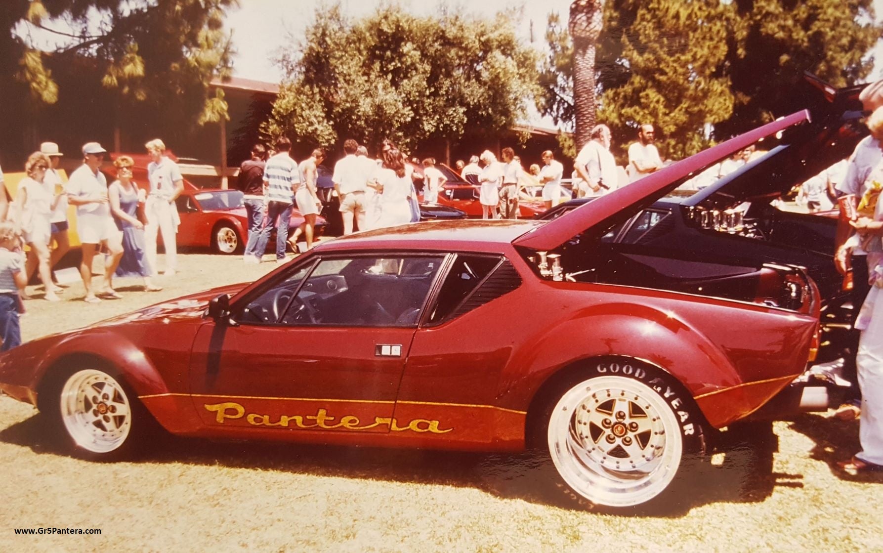 Group 5 Pantera - Panteras racing through the late 1970's... | Facebook