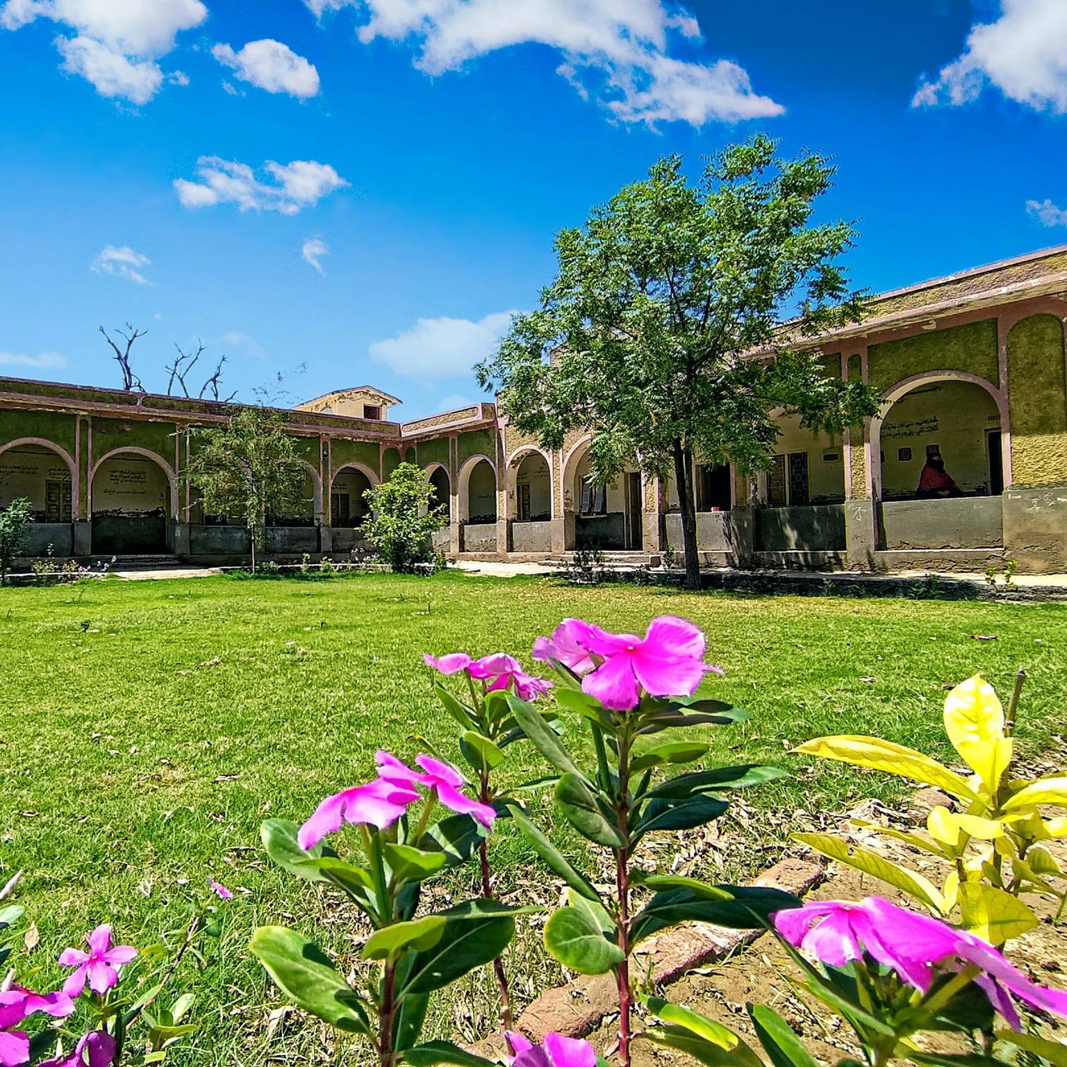 Govt Higher Secondary School Muhammad Shah