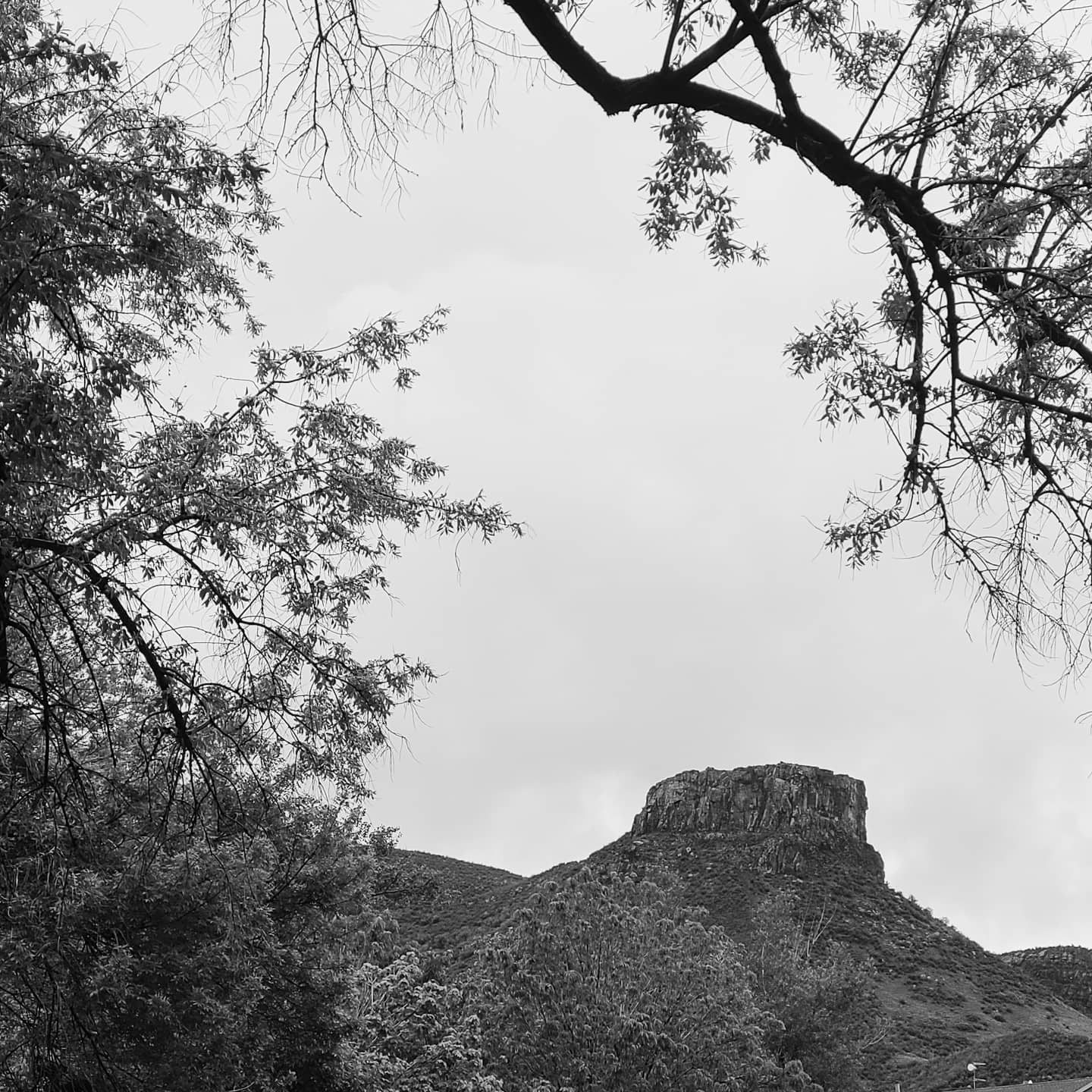 Colorado - One hundred years ago this week, Carl Milliken fell 100 feet ...