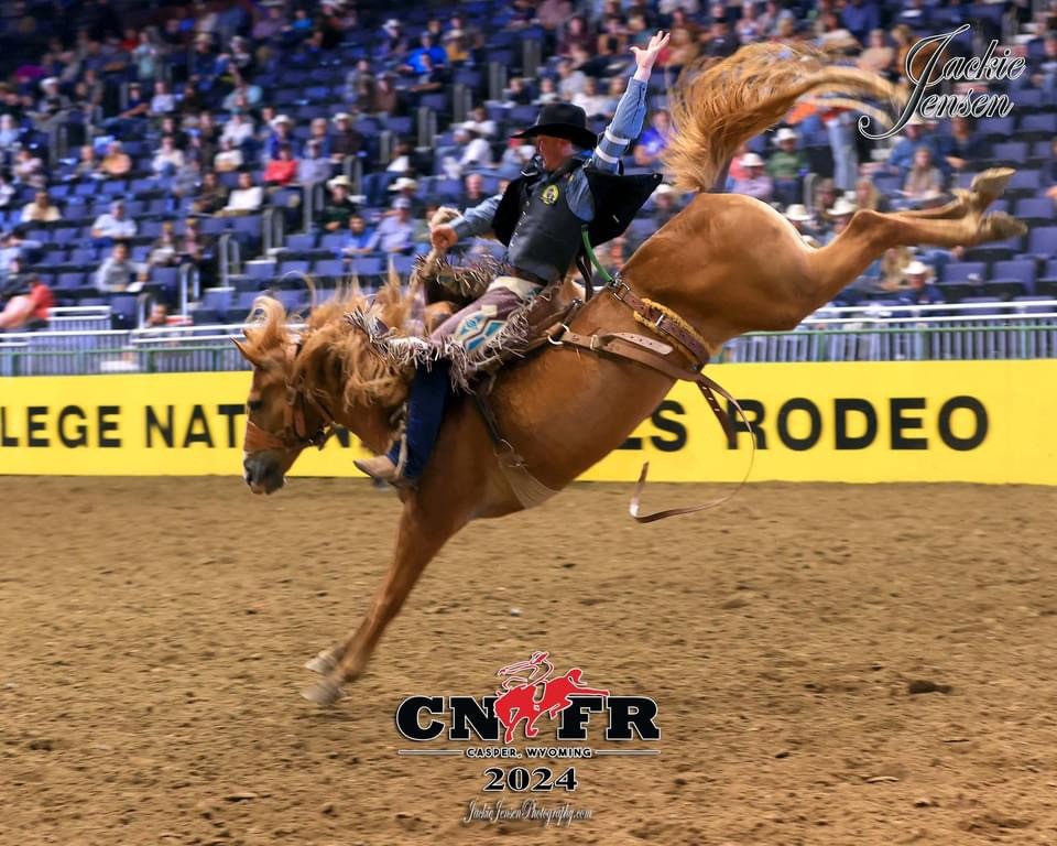 CSI - Just a couple more days to get signed up for the CSI Champions ...