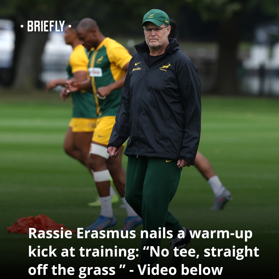 Briefly - Fans couldn’t stop laughing and cheering as Rassie Erasmus ...