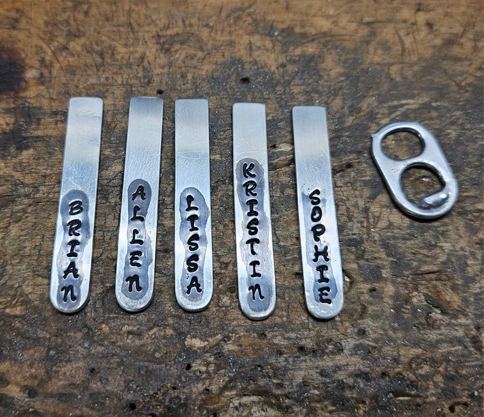 Josh's Coin Rings