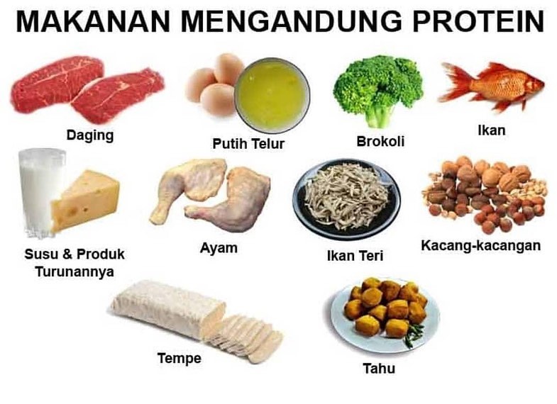 17 Makanan Yang Mengandung Protein Tinggi Halaman All Kompas Com
