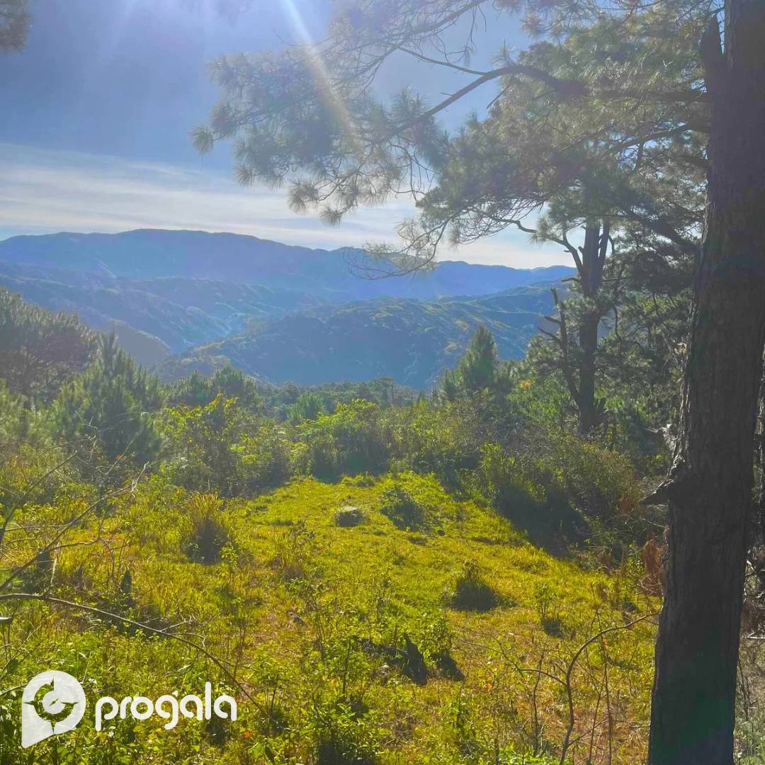 ProGala