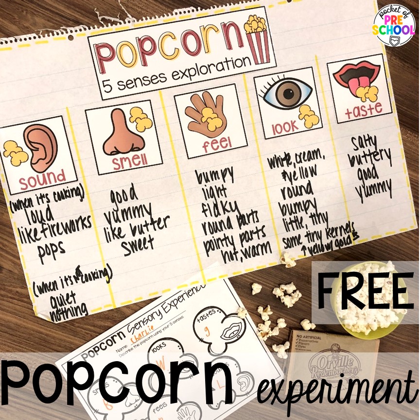 Pocket - FREE 5 senses taste exploration activity for little learners ...