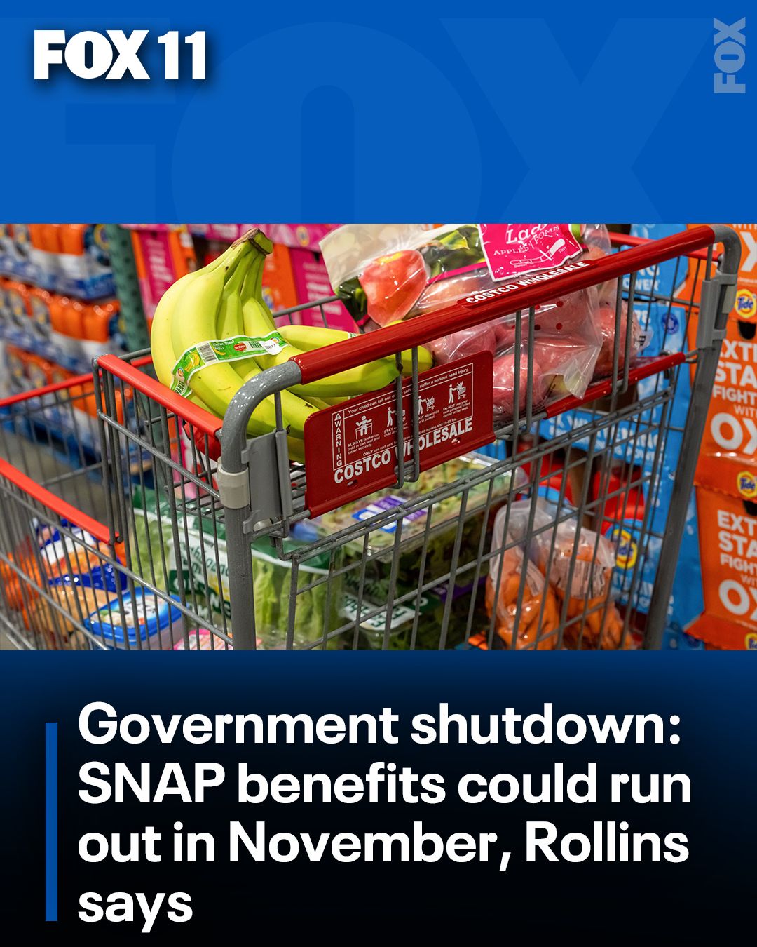 FOX - SNAP benefits may be at risk if the shutdown continues into ...