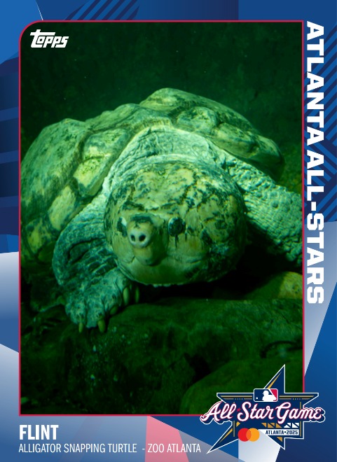 Another week, another opportunity to snag a brand new Animal All