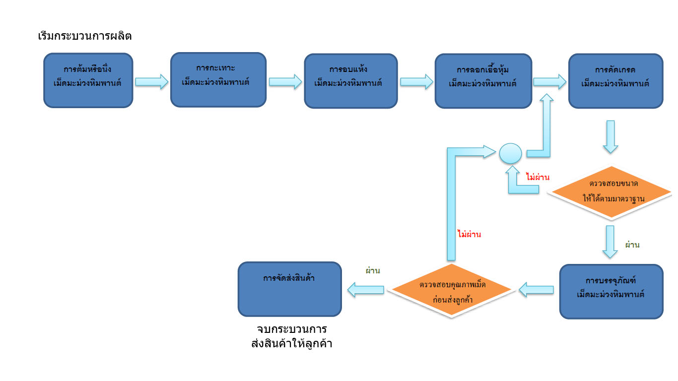 เม็ดมะม่วง - กระะบวนการผลิตเม็ดมะม่วงหิมพานต์ Process Flow of Cashew ...