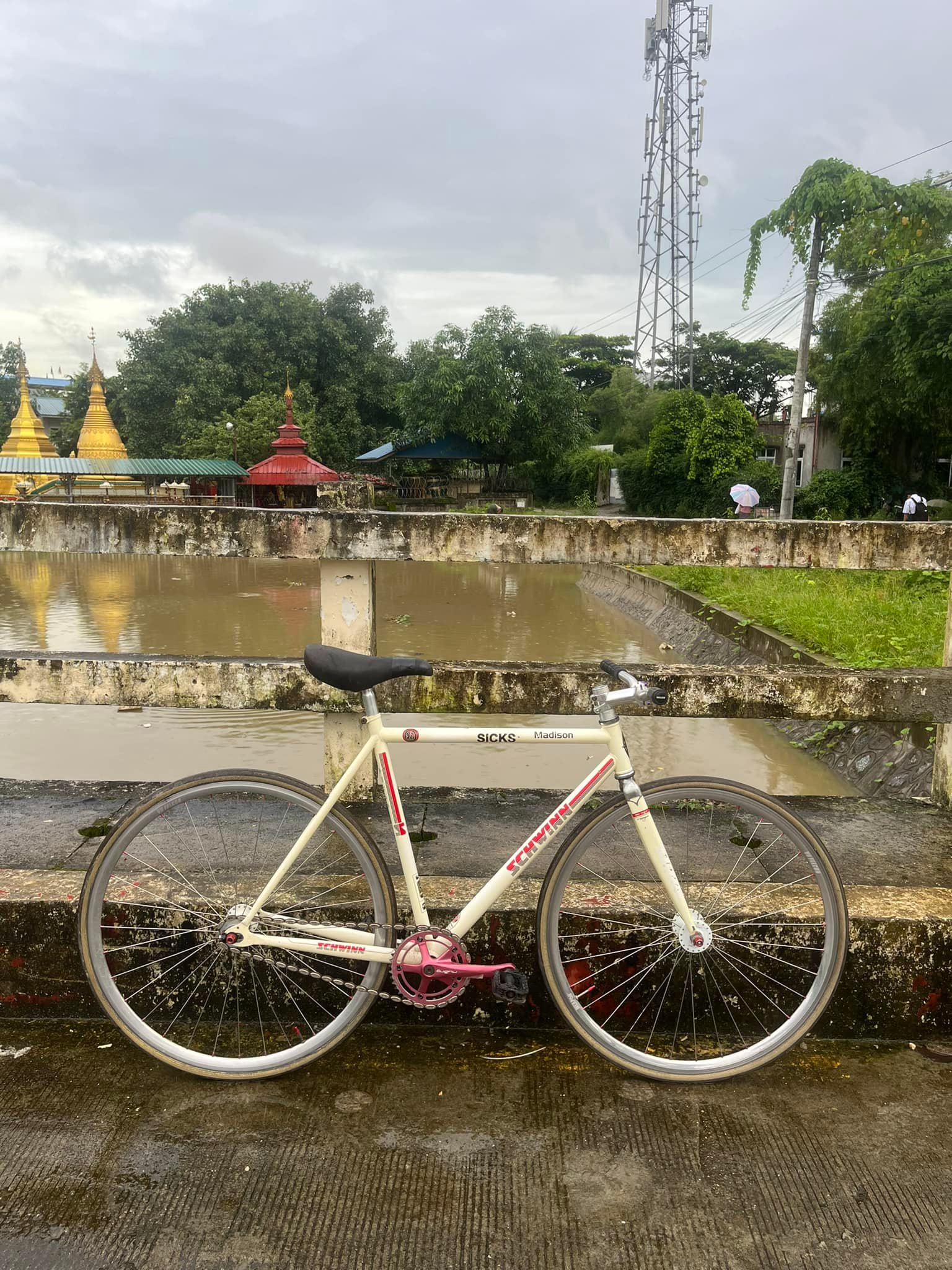 Schwinn Madison fixed gear bike review