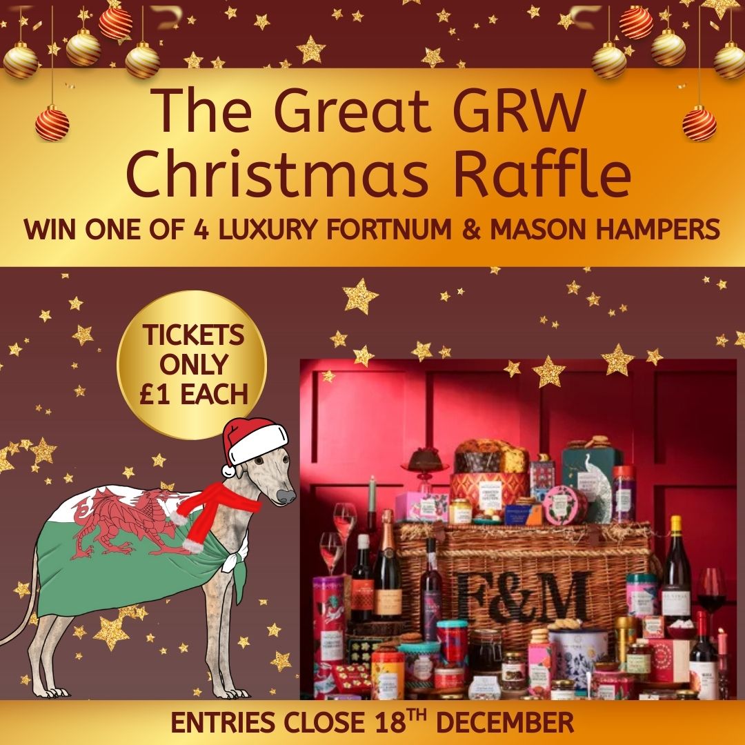 Greyhound - ⭐⭐It's back!! ⭐⭐ The return of the biggest raffle of the ...